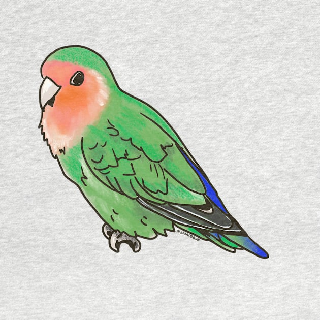 Peach-faced Lovebird by shehitsback